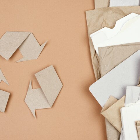 Environmentally-friendly copier paper for sustainable printing.