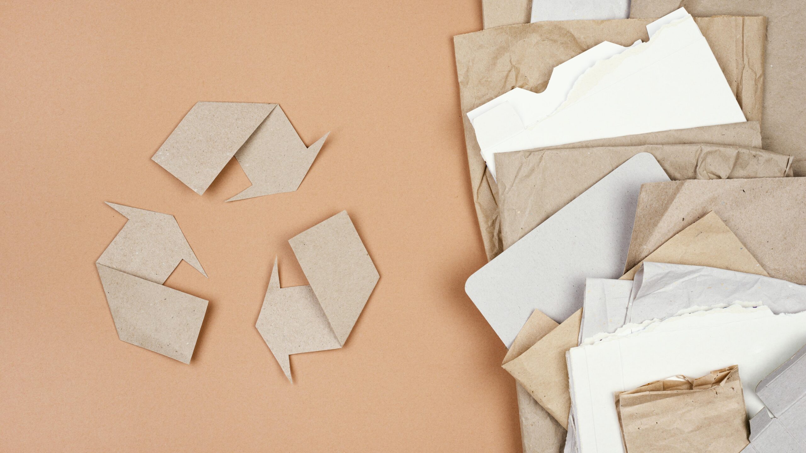 Environmentally-friendly copier paper for sustainable printing.