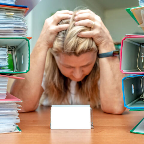 Lawyers working with files